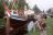 16-6-1977 de tewaterlating in Den Hoorn